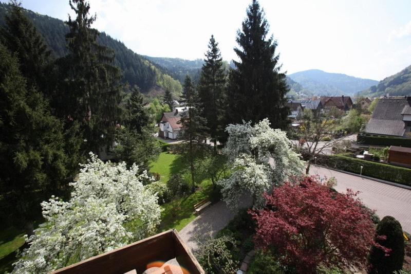 Hotel Garni Cafe Schacher Oberwolfach Eksteriør billede