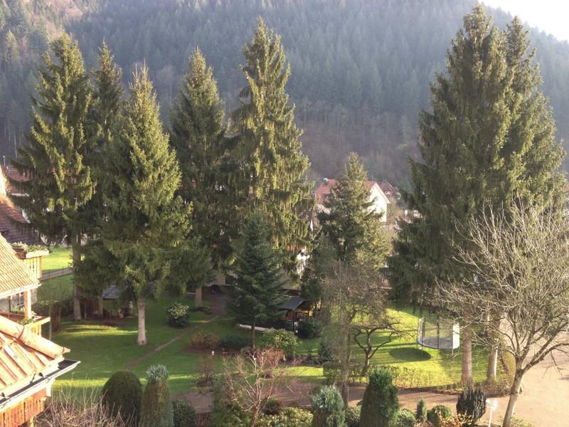 Hotel Garni Cafe Schacher Oberwolfach Eksteriør billede